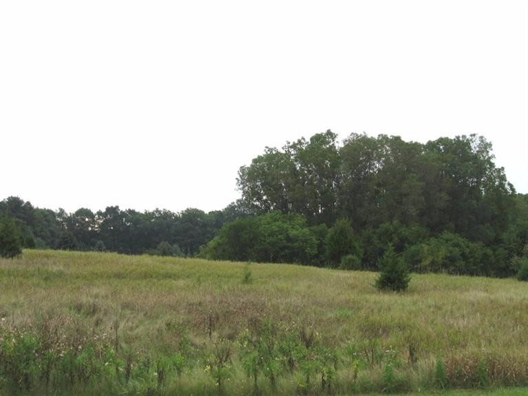 8724 Webster Hills Road Dexter, MI 48130 - Photo 3 of 10 Photo 3
