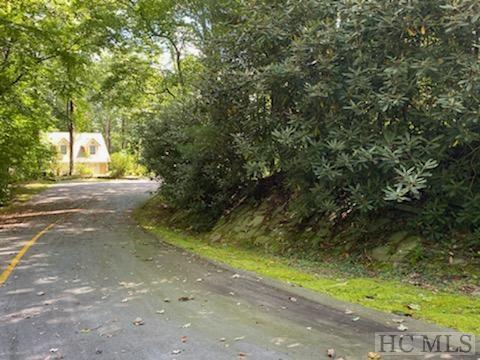 Lot 73 Narrows Road Sapphire, NC 28774 - Photo 4 of 22 Gallery Image 4