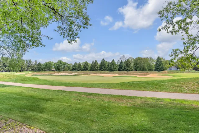 a view of field with trees