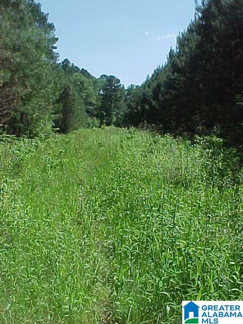 6530 County Road 17 Alabaster, AL 35114 - Photo 22 of 25