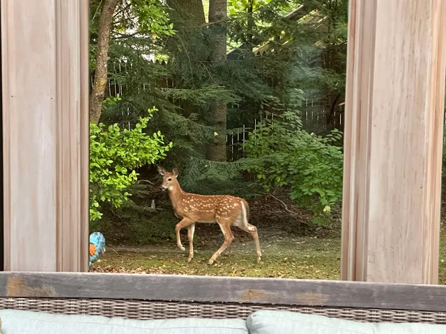 $749,000 | 180 Grove Street, Rutland, VT 05701