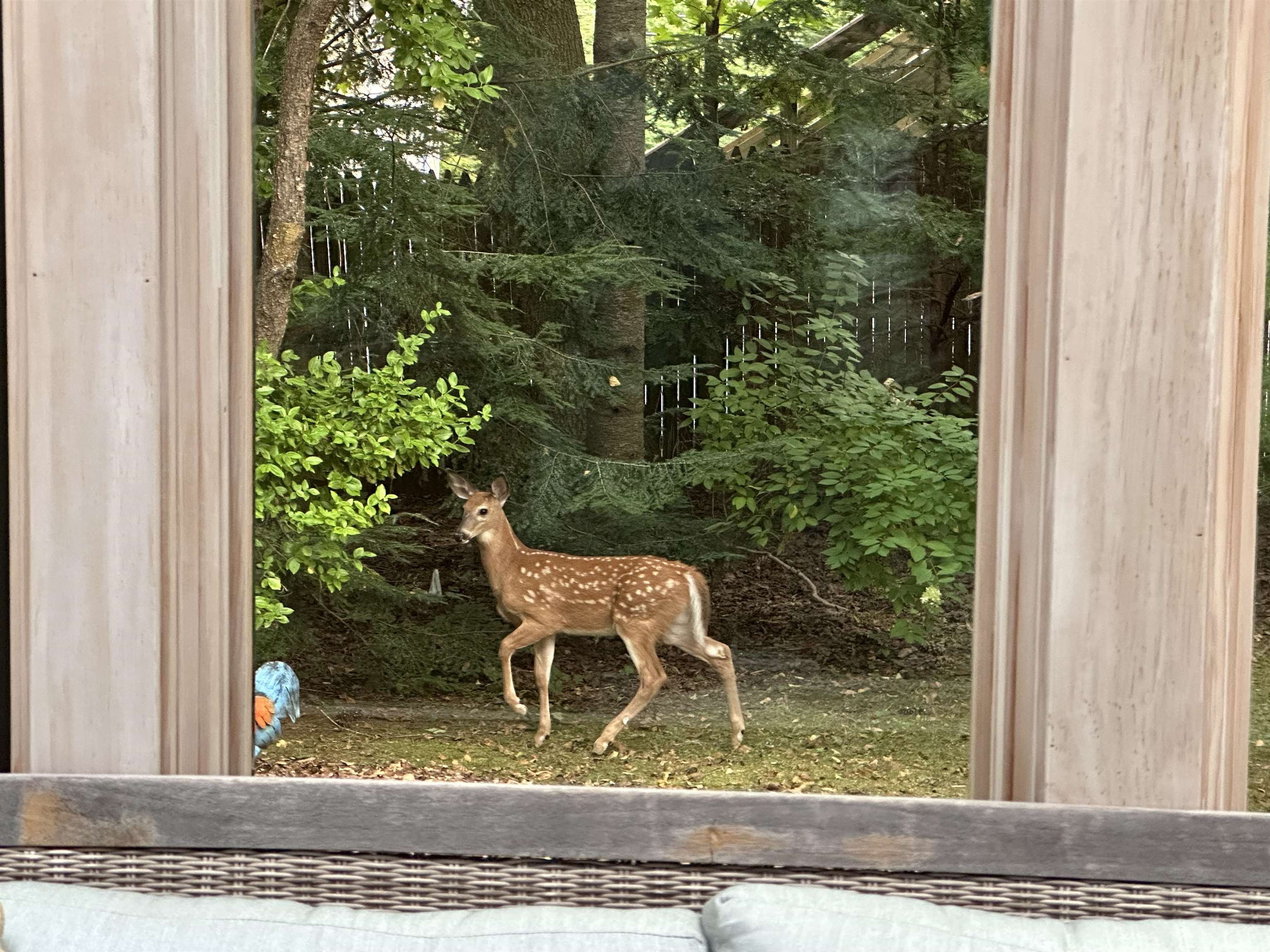 180 Grove Street Rutland, VT 05701 - Photo 44 of 51