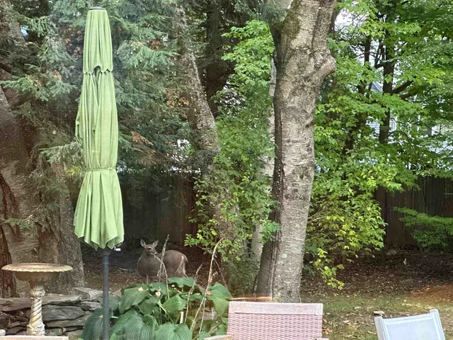 $749,000 | 180 Grove Street, Rutland, VT 05701