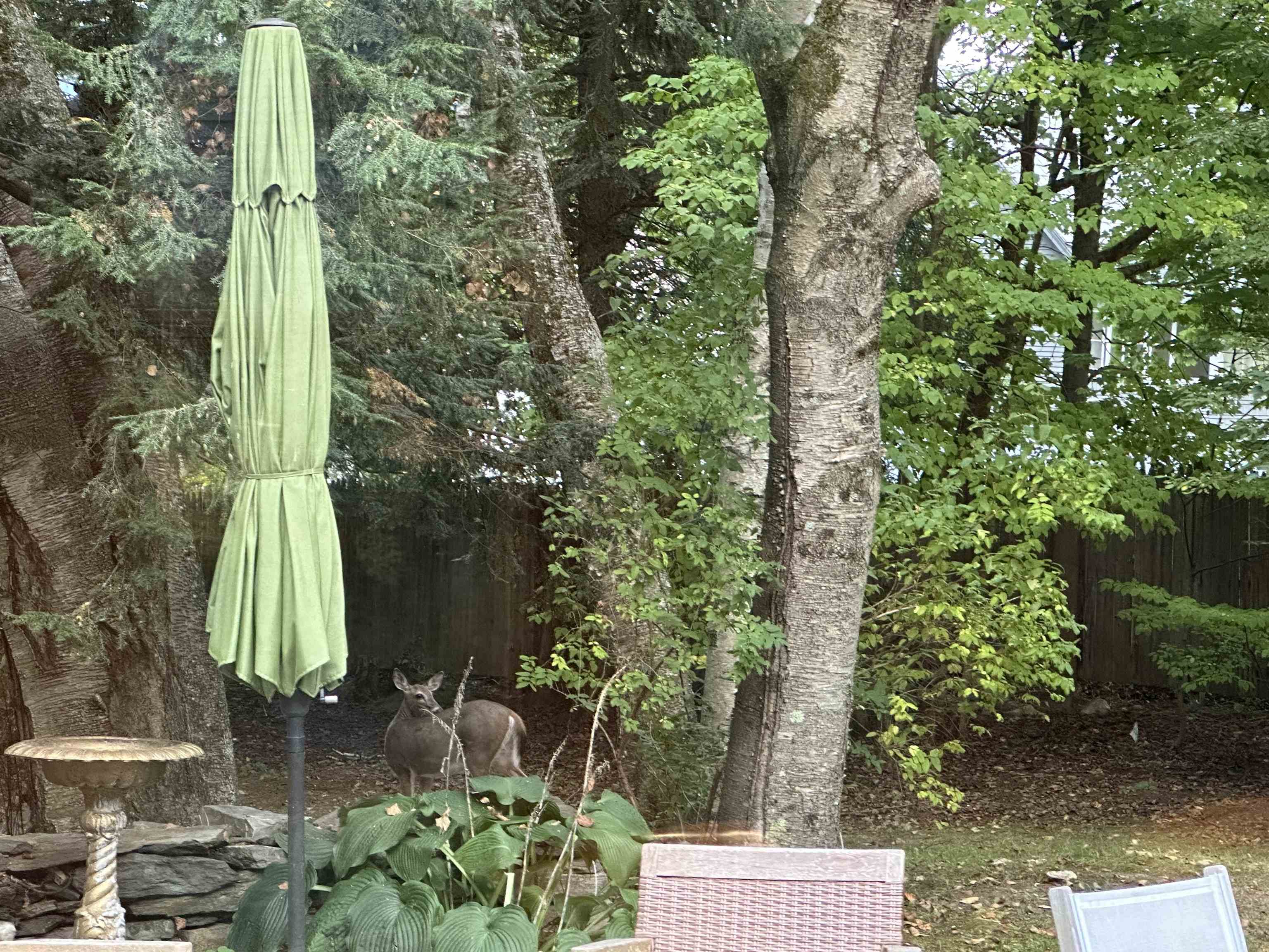 180 Grove Street Rutland, VT 05701 - Photo 45 of 51