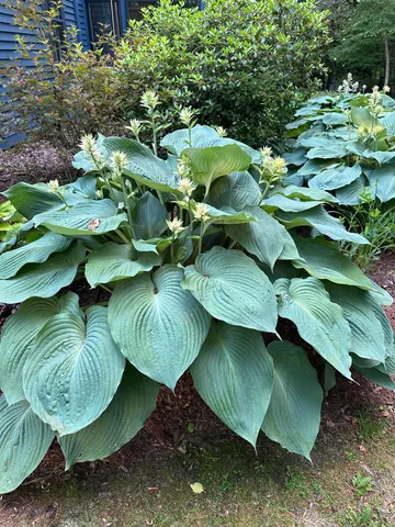 $749,000 | 180 Grove Street, Rutland, VT 05701