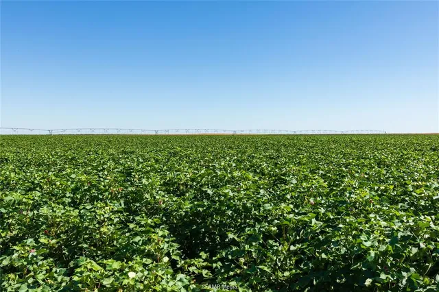 a view of a green field with lots of bushes