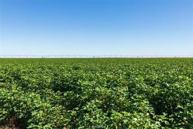 a view of a field of the building