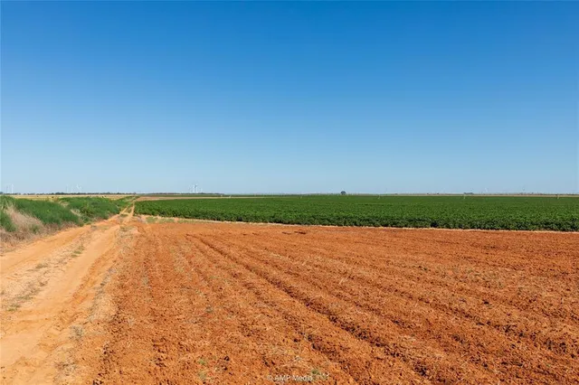 a view of an ocean and beach