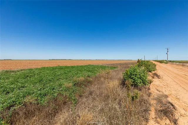 a view of a field with an ocean
