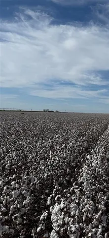 $1,246,400 | 1691 O'brien Tx 79521, Knox City, TX 79529