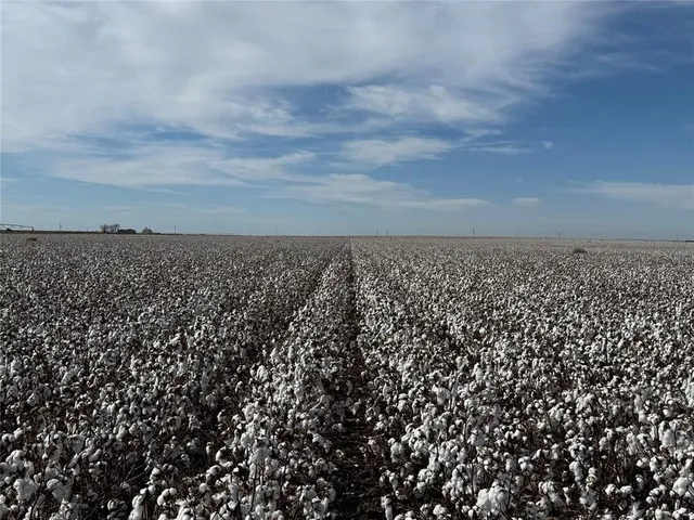 $1,246,400 | 1691 O'brien Tx 79521, Knox City, TX 79529