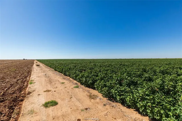 a view of a large body of water with a building in the background