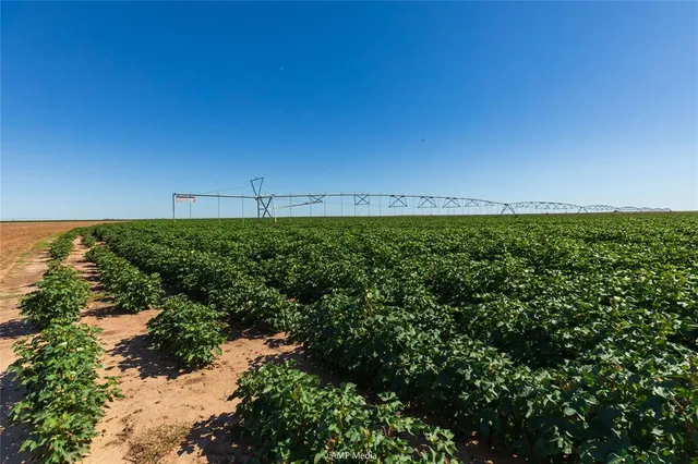 a view of a green field