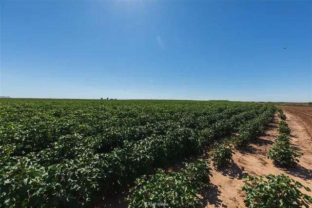 a view of a green field