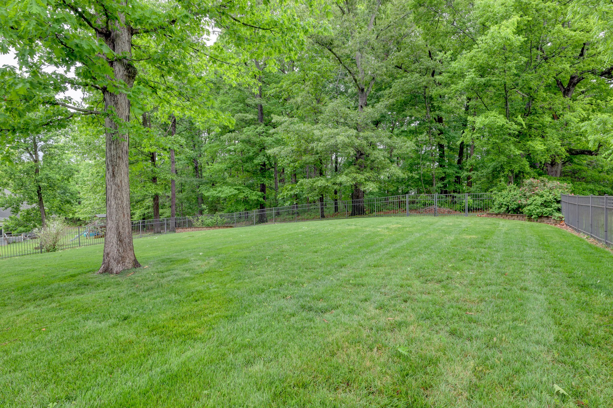 4445 Taylor Hall Lane Adams, TN 37010 - Photo 63 of 65 a view of a field with a tree