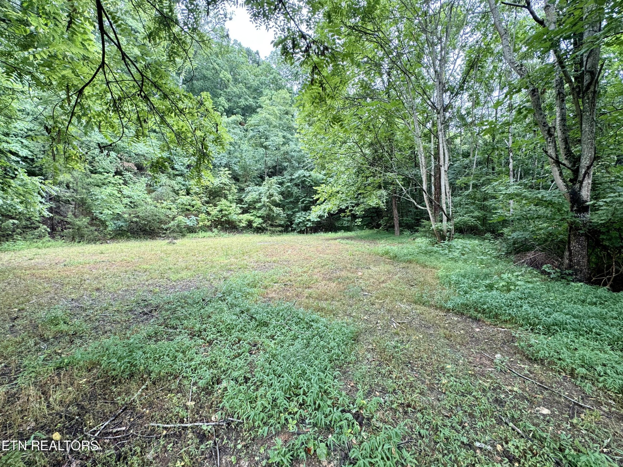 955 Lakeway Road Morristown, TN 37814 - Photo 7 of 20 Gallery Image 7