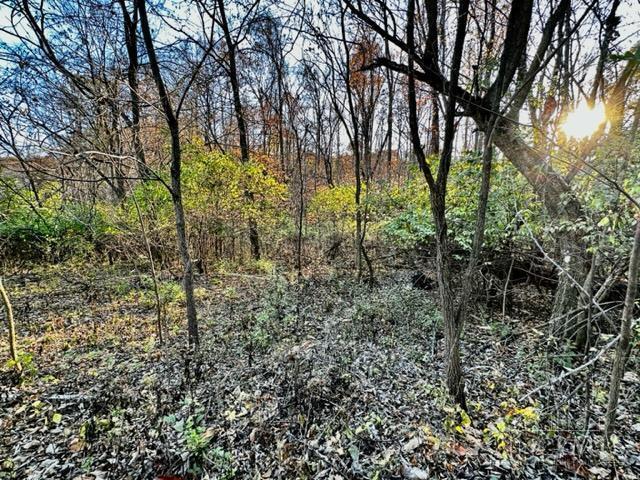946 Pyle Road Clarksville, OH 45113 - Photo 16 of 20 Gallery Image 16