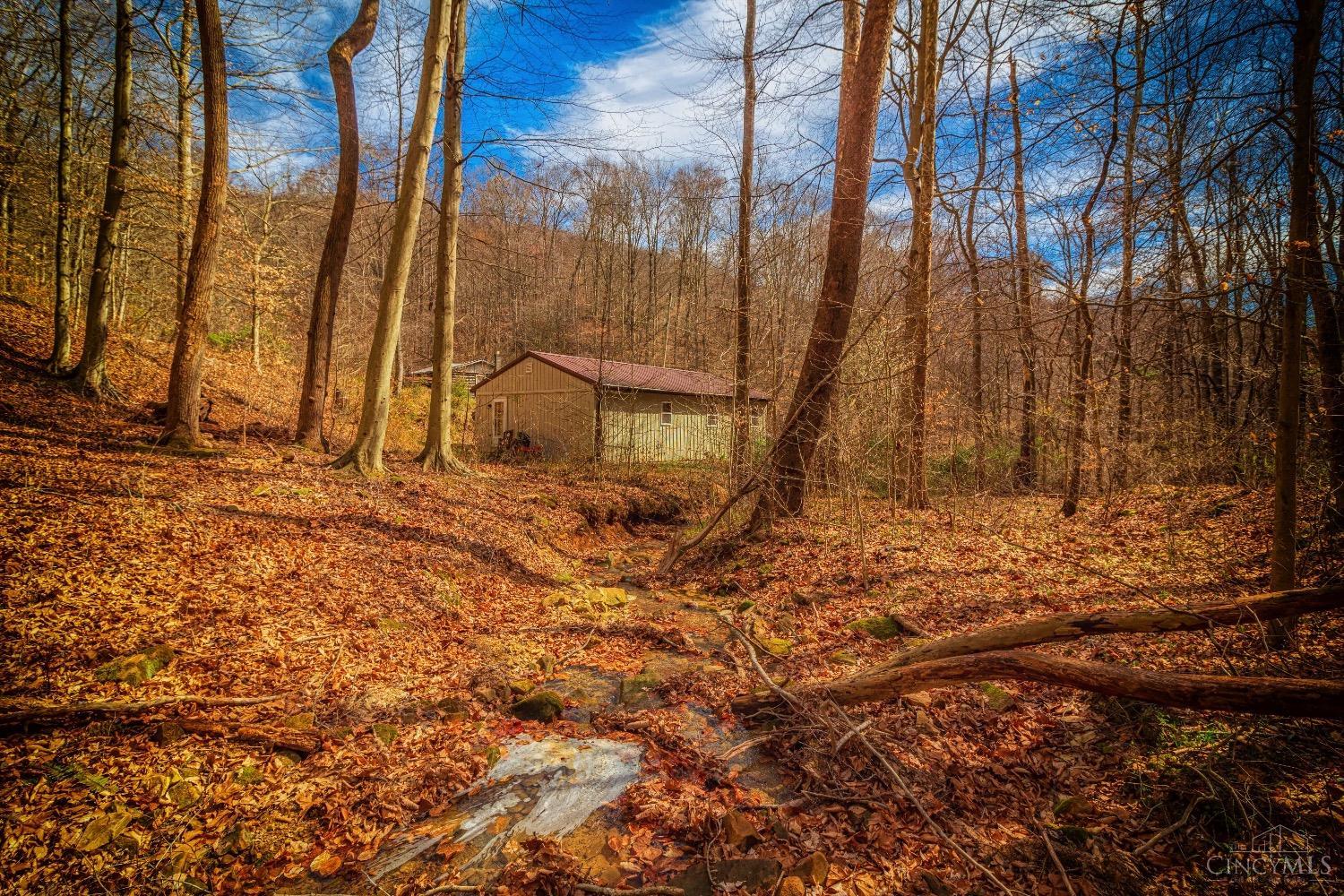 1000 Tracy Run Road Stout, OH 45684 - Photo 6 of 59 Gallery Image 6