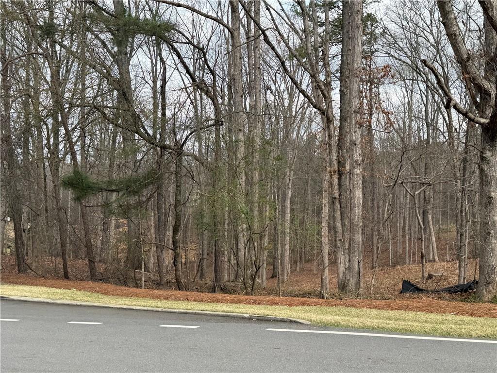 95 Ramey Road Sugar Hill, GA 30518 - Photo 2 of 4 a view of a door of a house