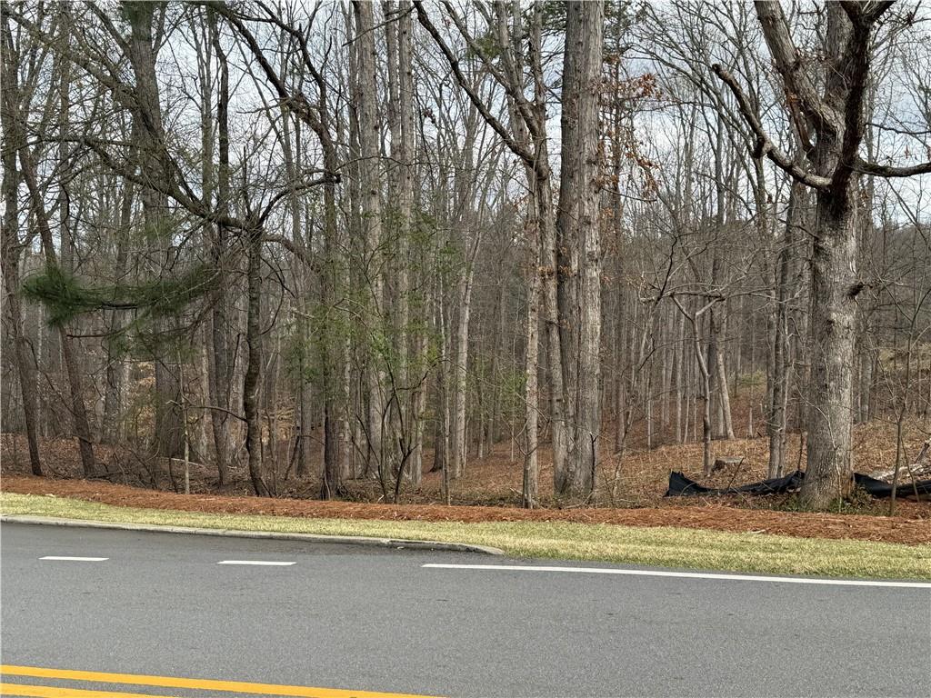 95 Ramey Road Sugar Hill, GA 30518 - Photo 3 of 4 a view of a entryway of a house