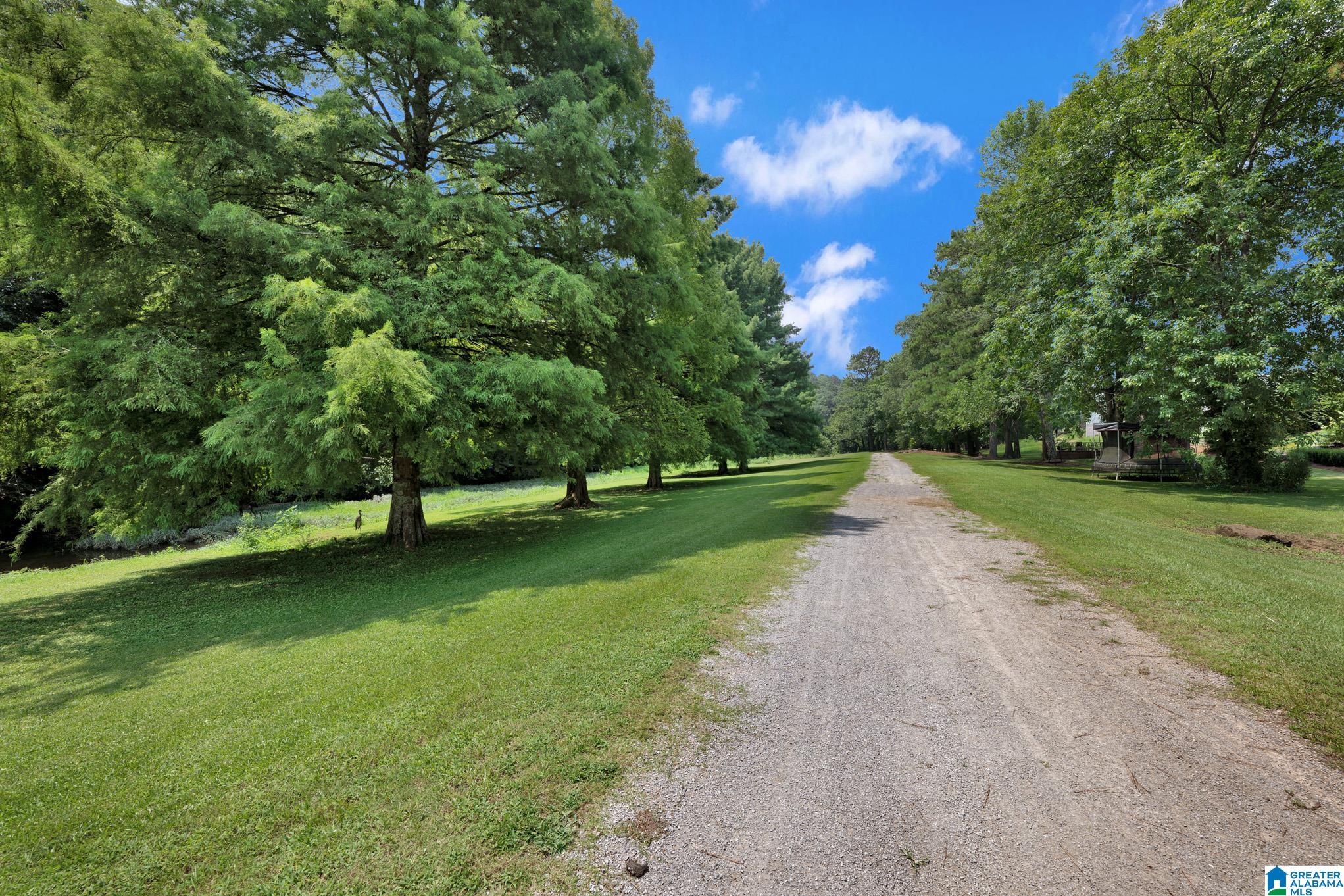 6539 Spring Street Trussville, AL 35173 - Photo 44 of 56