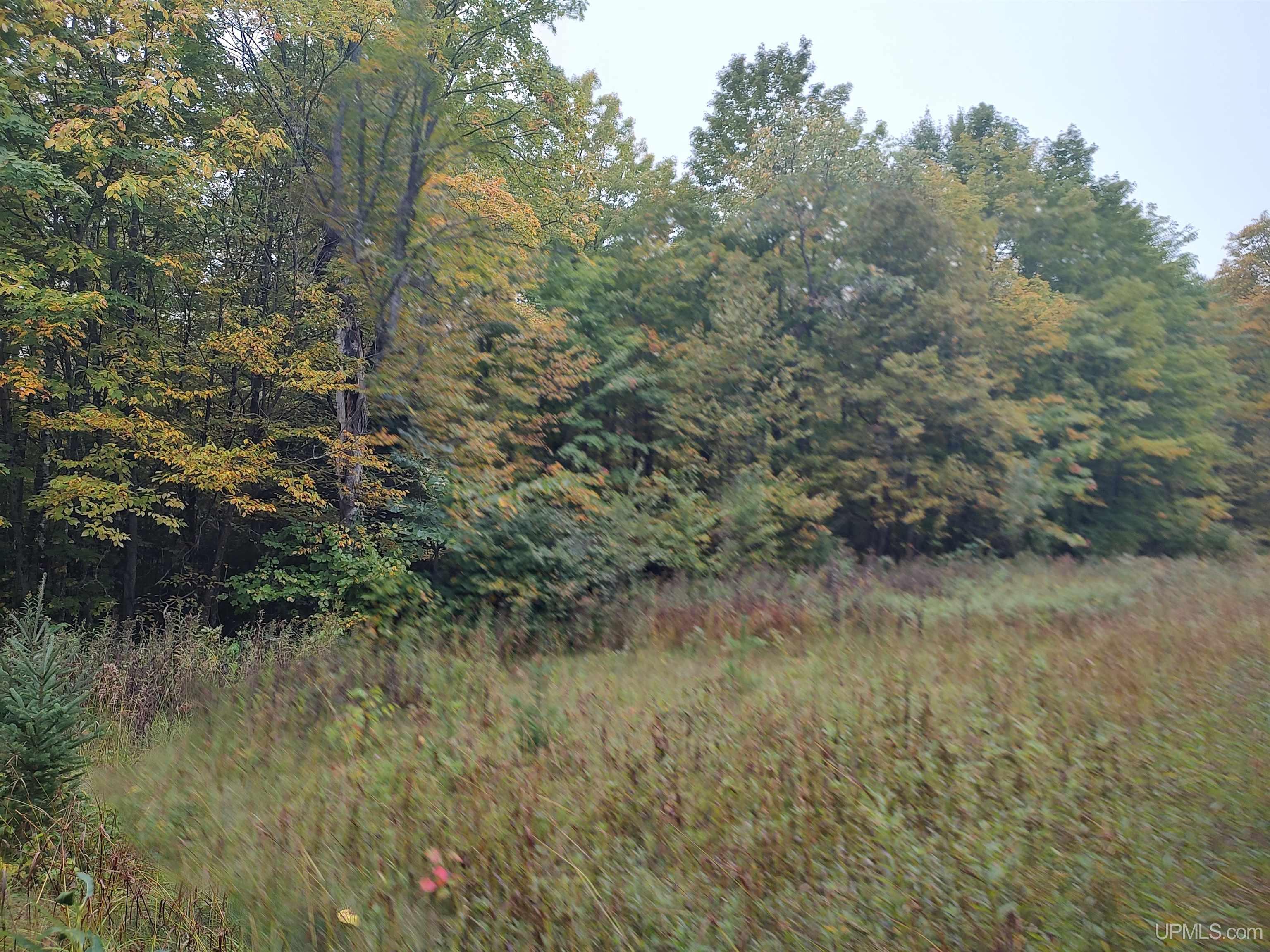 Tbd South Laird Road Pelkie, MI 49958 - Photo 11 of 25