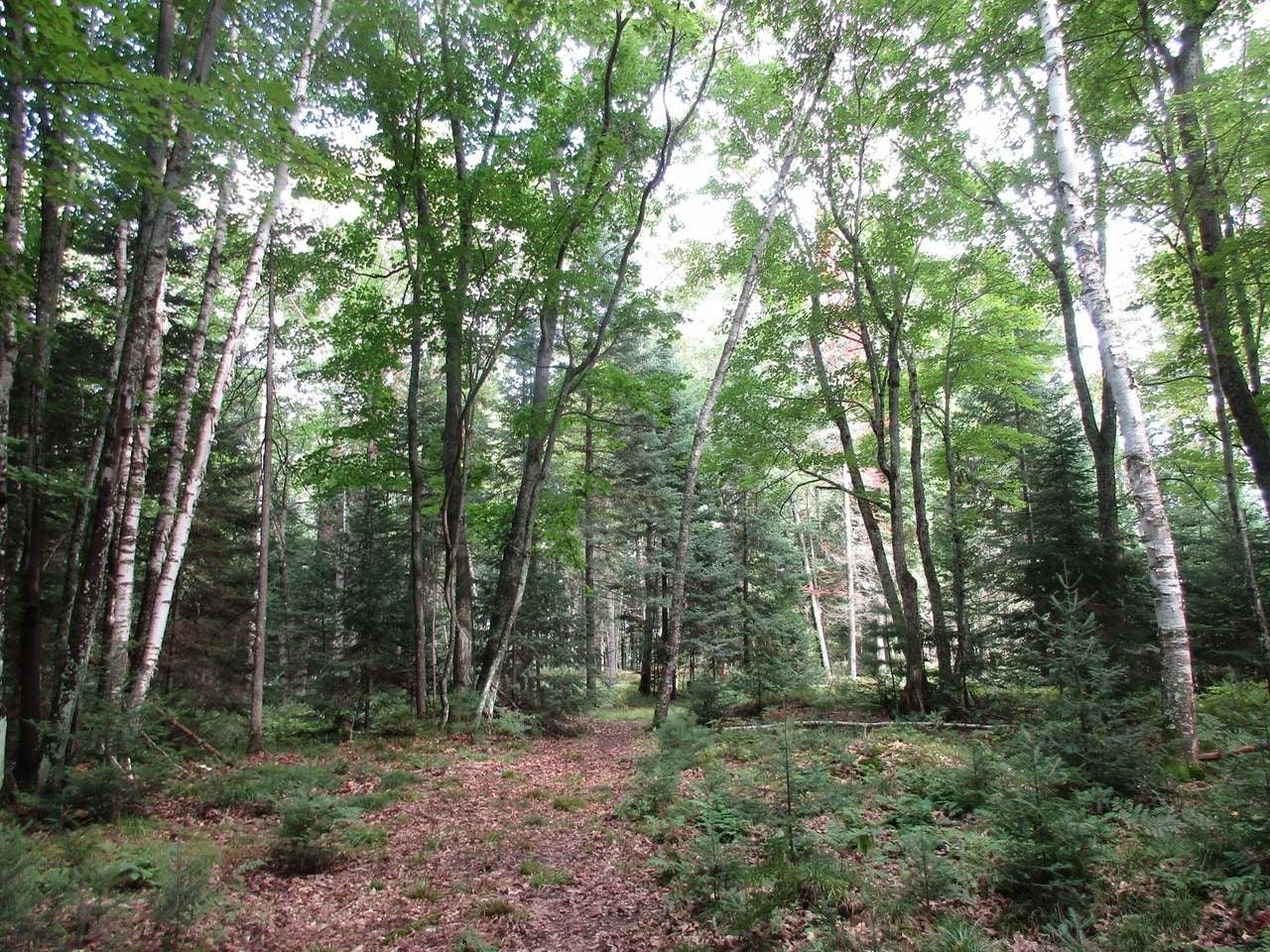 On Garrett's Trail, Unit LOT 1 Rhinelander, WI 54501 - Photo 5 of 14 Gallery Image 5
