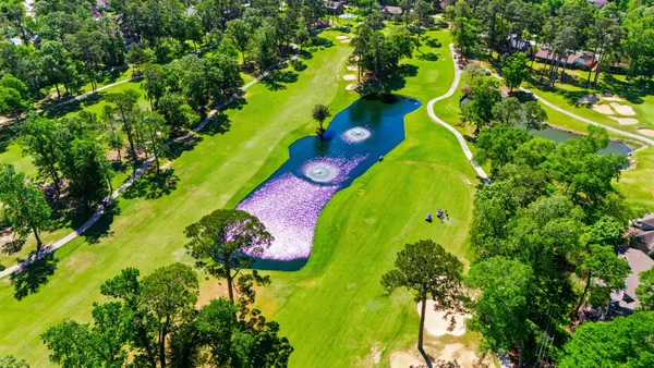 $4,900,000 | 40 La Jolla Circle, Montgomery, TX 77356