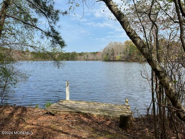 3 Lakeview Drive Howell, NJ 07731 - Photo 4 of 29 IMG_5542