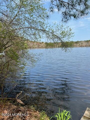 3 Lakeview Drive Howell, NJ 07731 - Photo 5 of 29 IMG_5543