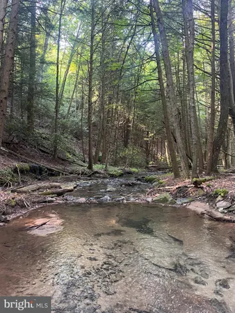 $465,000 | 15 Beech Creek Mountain Road, Beech Creek, PA 16822