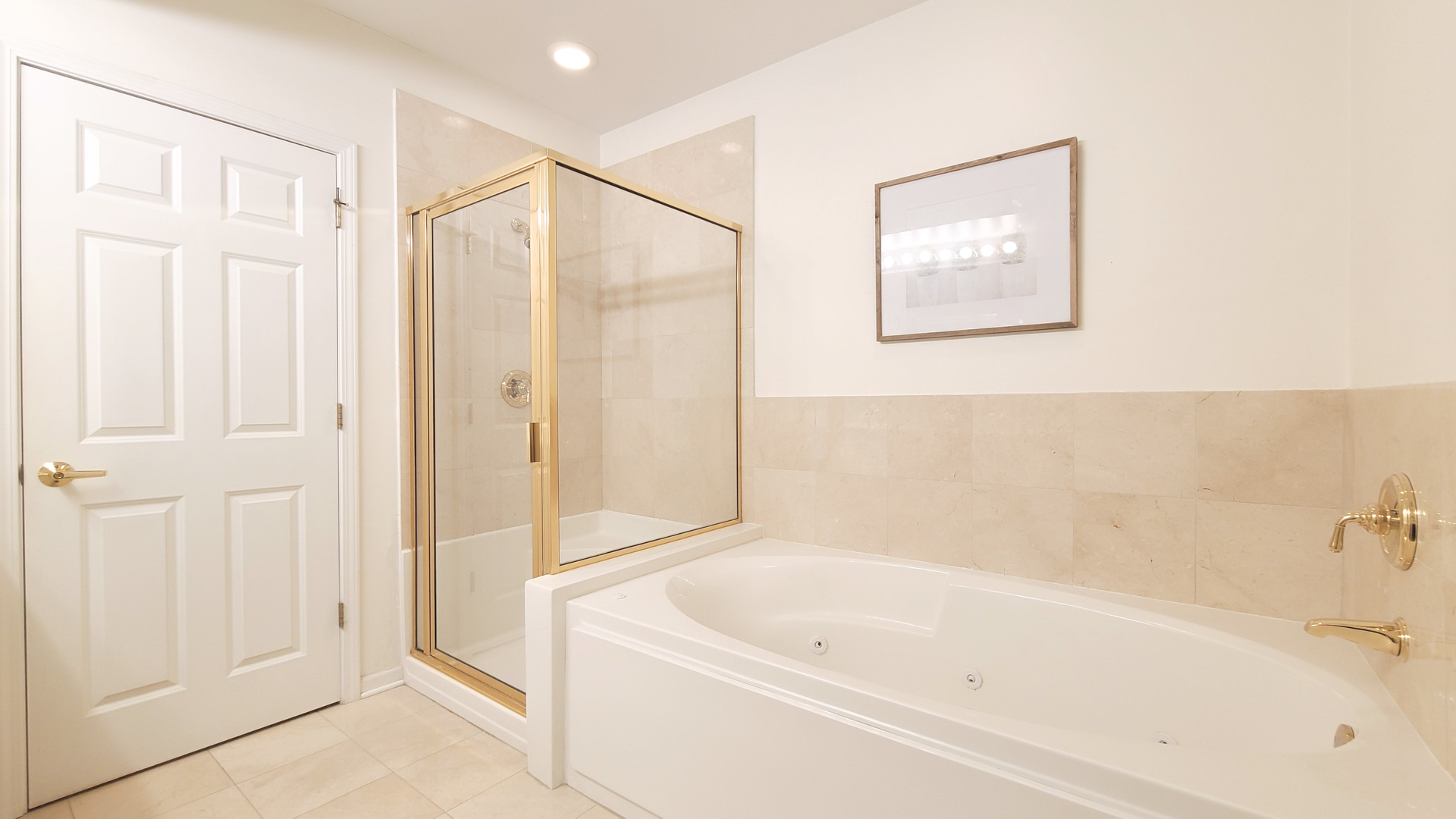352 West Seminary Avenue, Unit 504 Wheaton, IL 60187 - Photo 17 of 24 a bathroom with a bathtub and a shower