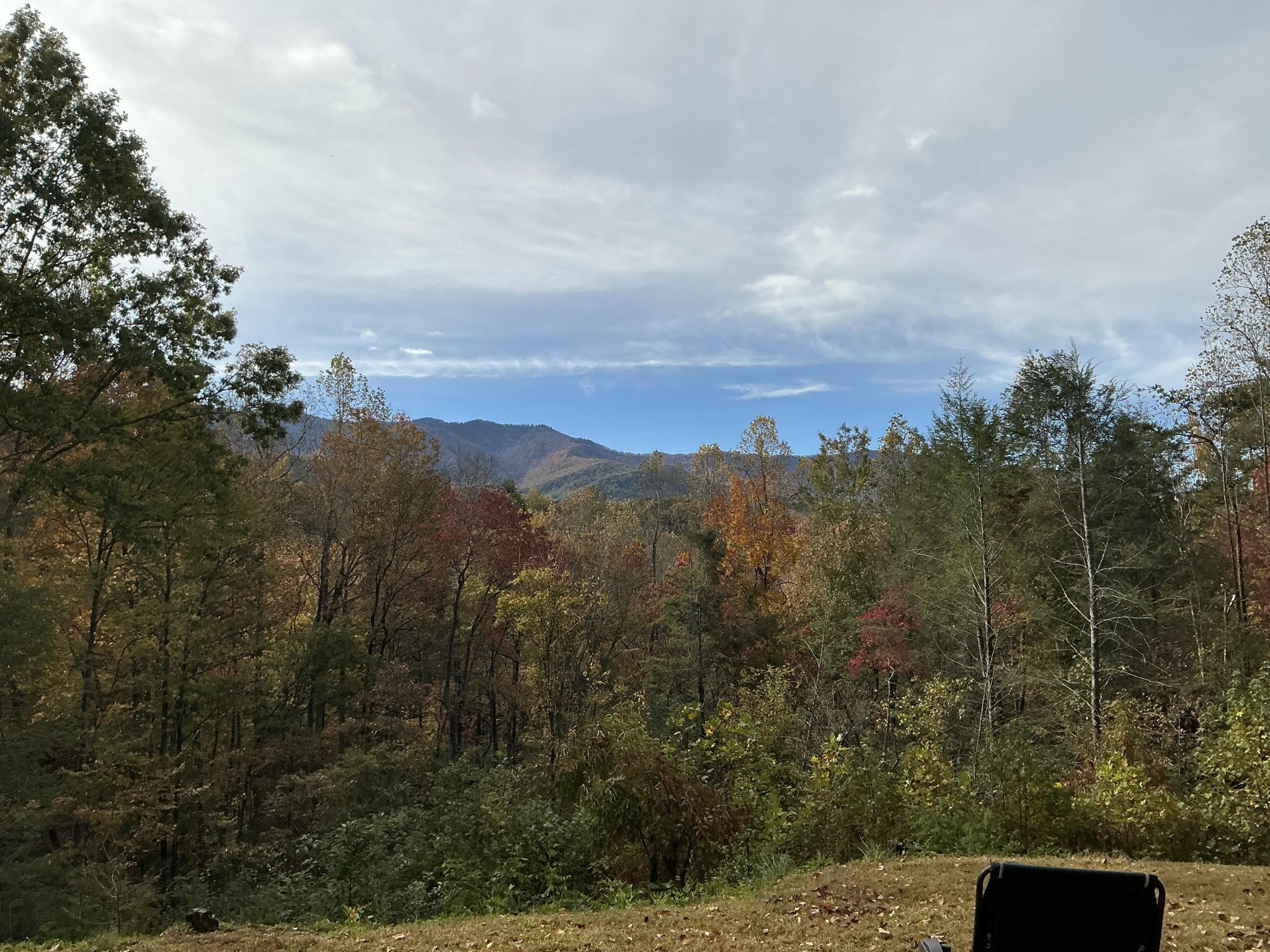 5475 Otto Williams Road Cosby, TN 37722 - Photo 2 of 96