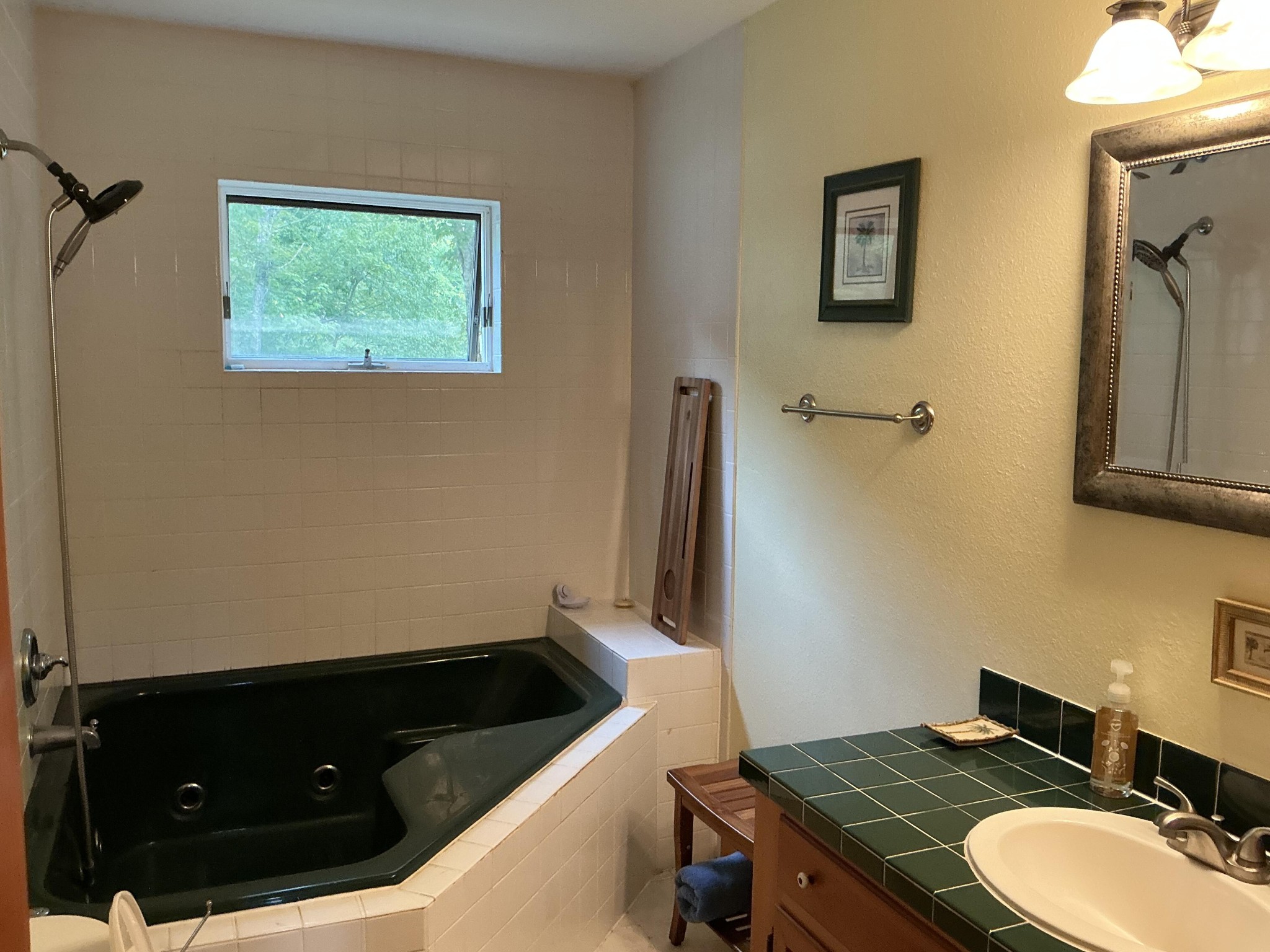 5475 Otto Williams Road Cosby, TN 37722 - Photo 40 of 96