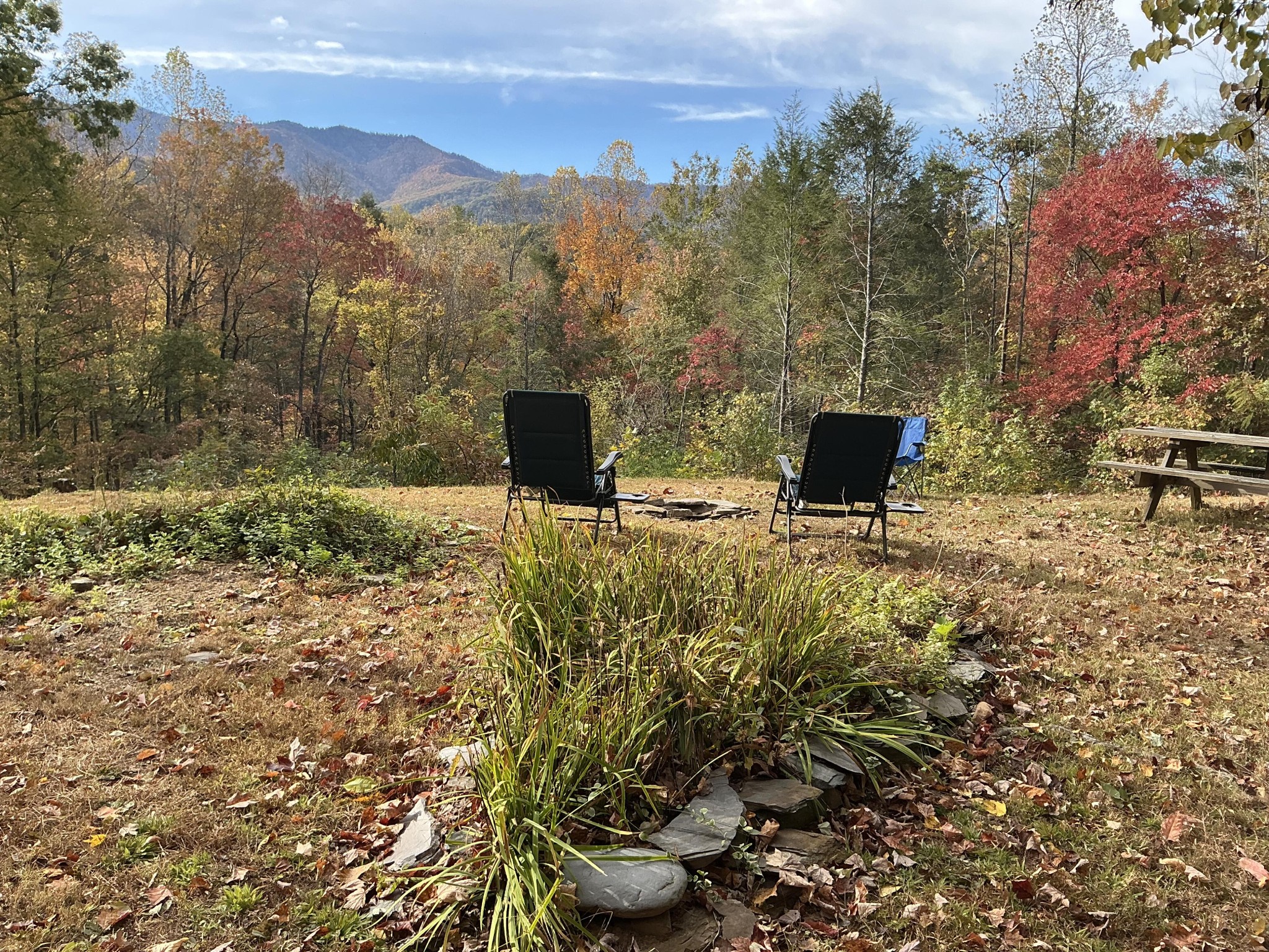 5475 Otto Williams Road Cosby, TN 37722 - Photo 4 of 96