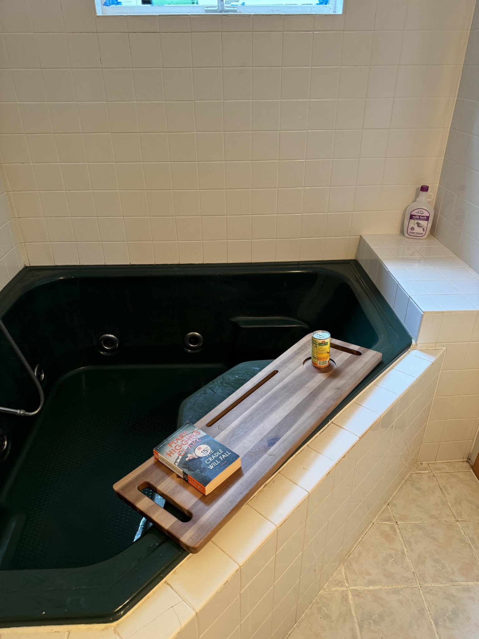 5475 Otto Williams Road Cosby, TN 37722 - Photo 73 of 96