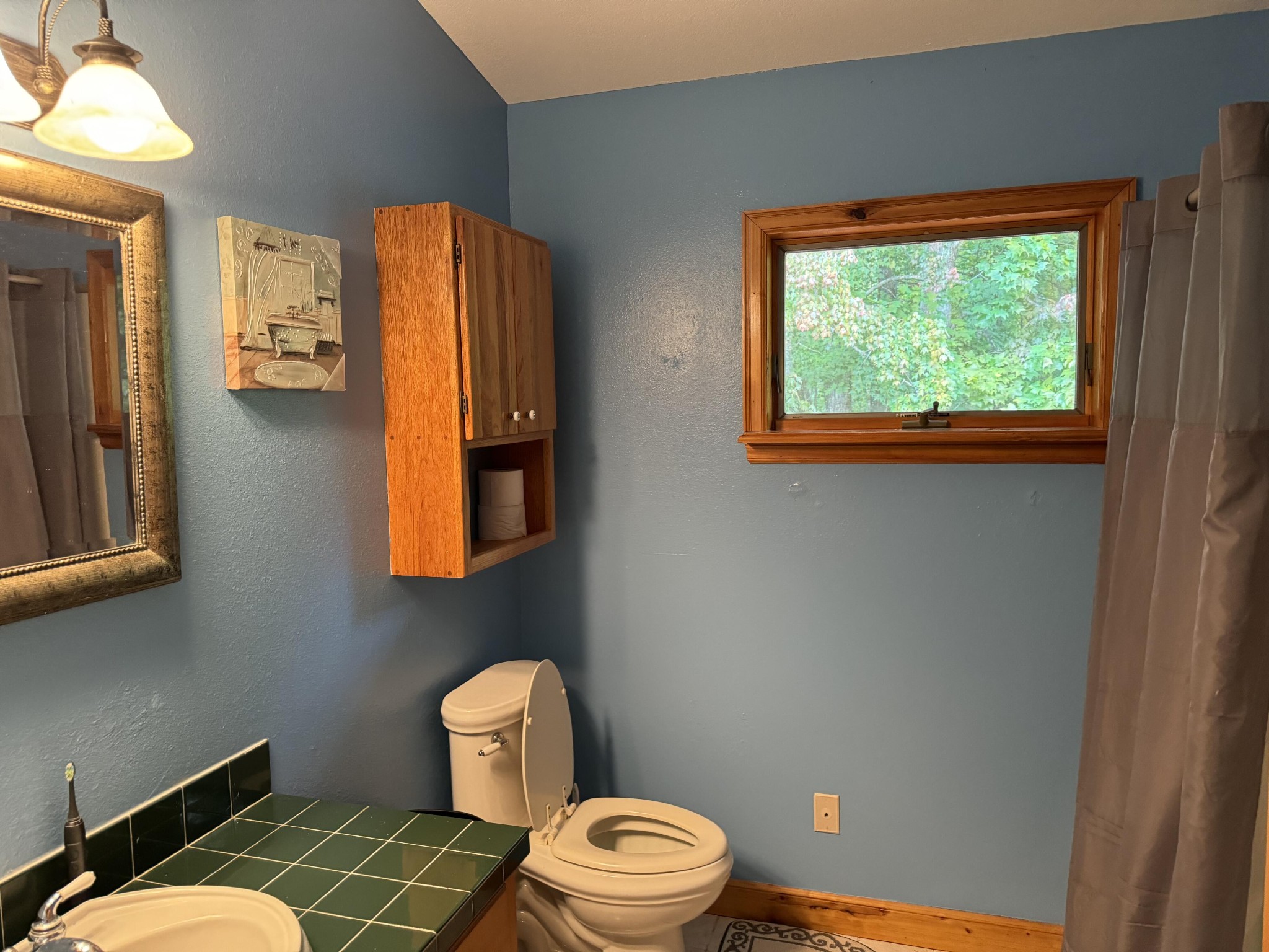 5475 Otto Williams Road Cosby, TN 37722 - Photo 87 of 96