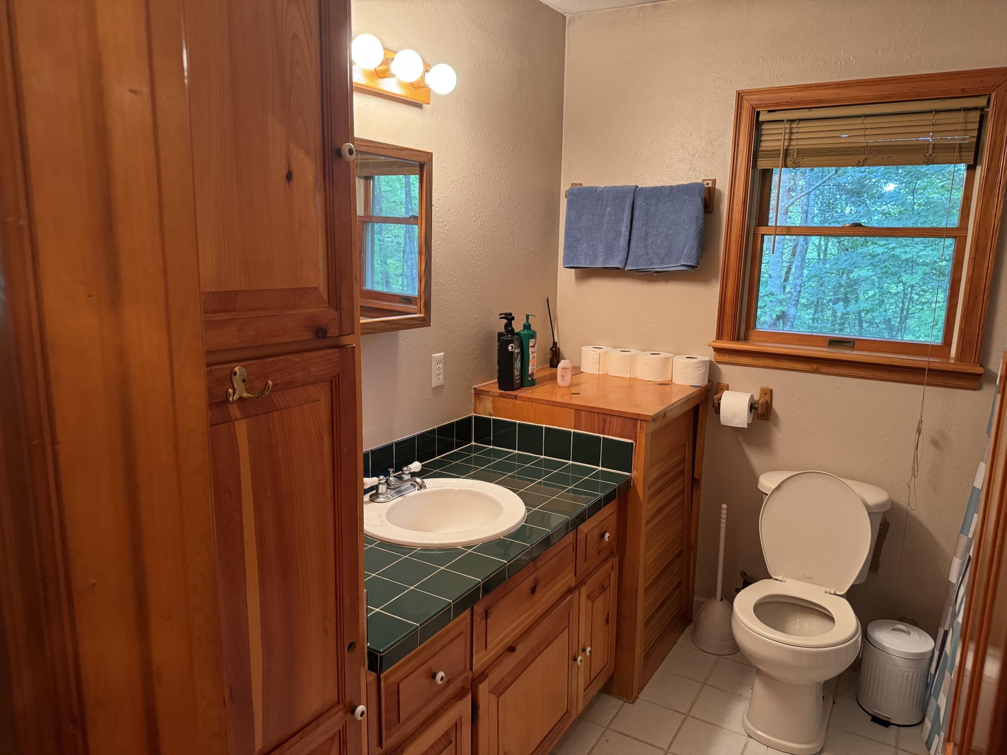 5475 Otto Williams Road Cosby, TN 37722 - Photo 95 of 96