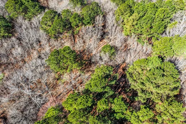 a view of a lake with a park