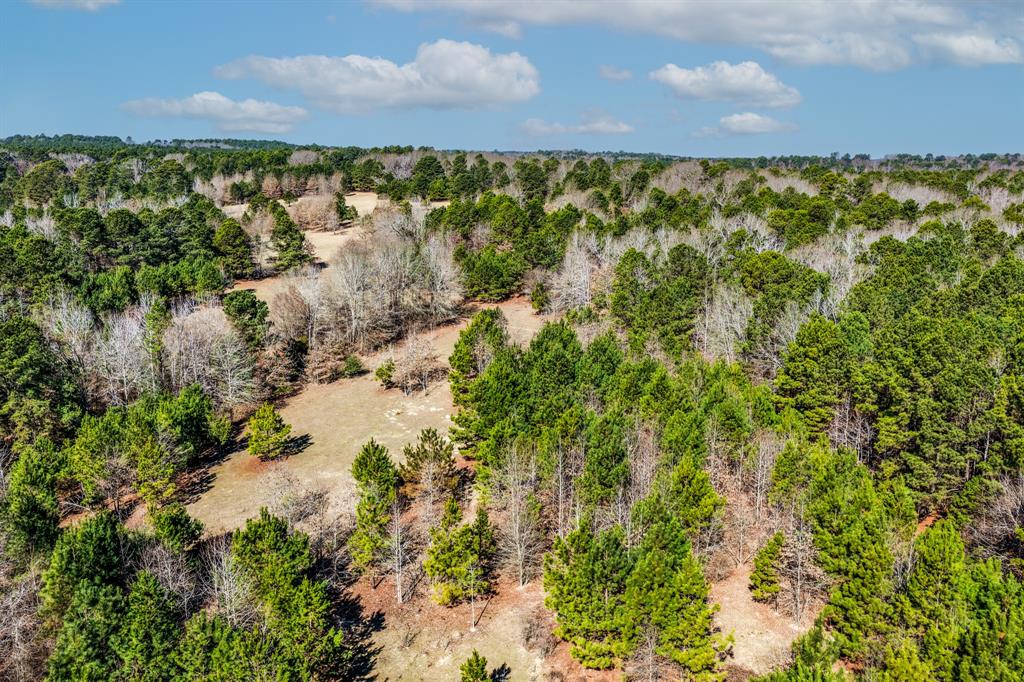 1609 C R 246 S South Kilgore, TX 75662 - Photo 17 of 22 a view of a lake with houses
