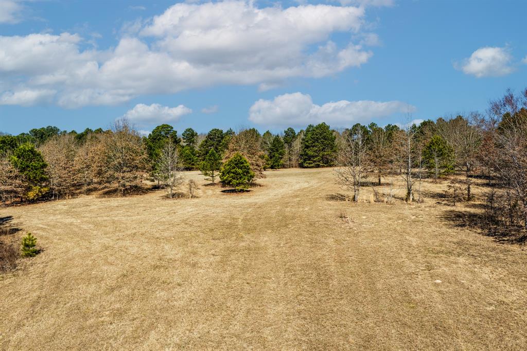 1609 C R 246 S South Kilgore, TX 75662 - Photo 20 of 22