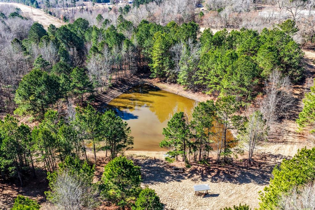 1609 C R 246 S South Kilgore, TX 75662 - Photo 22 of 22 a view of a lake with a park