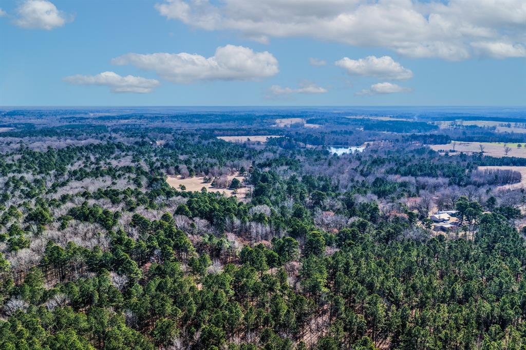 1609 C R 246 S South Kilgore, TX 75662 - Photo 5 of 22