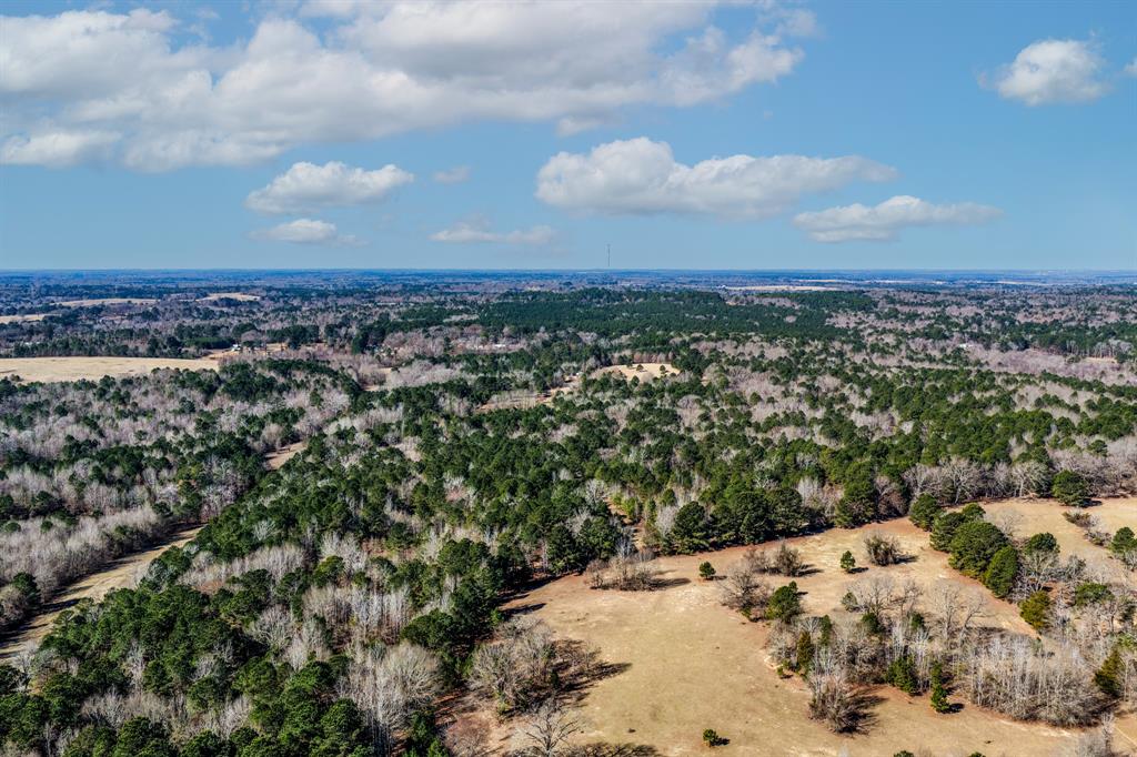1609 C R 246 S South Kilgore, TX 75662 - Photo 7 of 22 a view of a sky