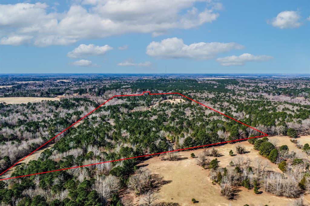 1609 C R 246 S South Kilgore, TX 75662 - Photo 8 of 22 a view of a city