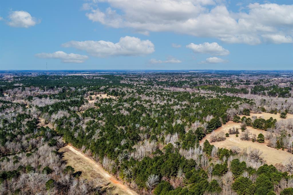 1609 C R 246 S South Kilgore, TX 75662 - Photo 9 of 22 a view of a city
