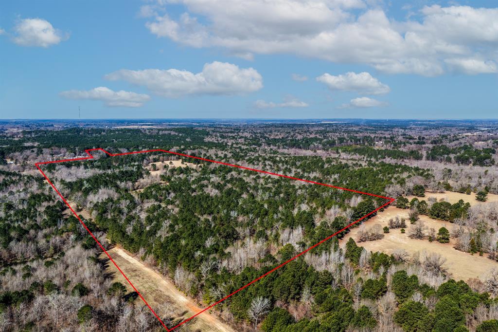 1609 C R 246 S South Kilgore, TX 75662 - Photo 10 of 22 a view of a city