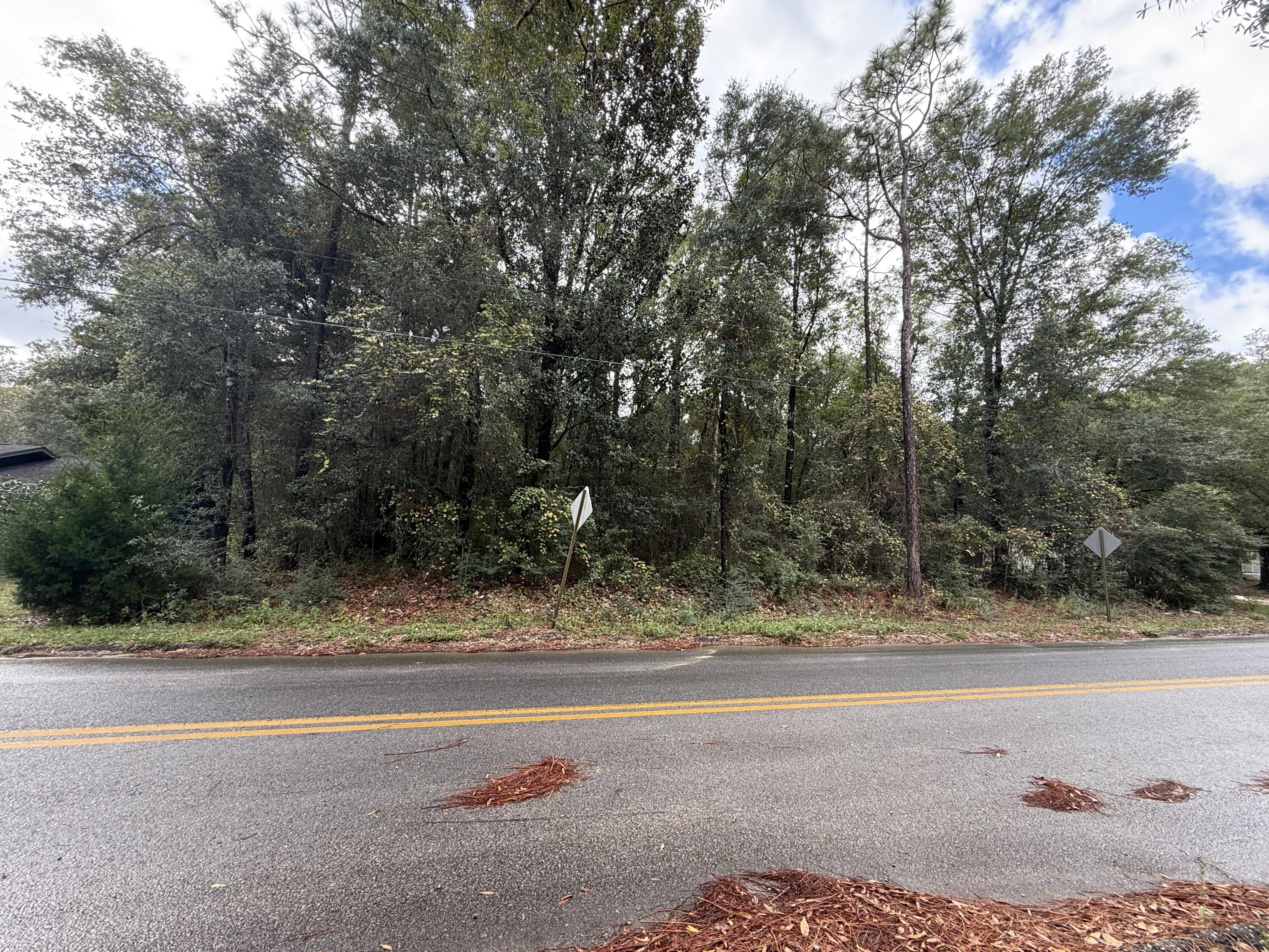 Lot 4 German Club Road DeFuniak Springs, FL 32433 - Photo 8 of 16 IMG_1081