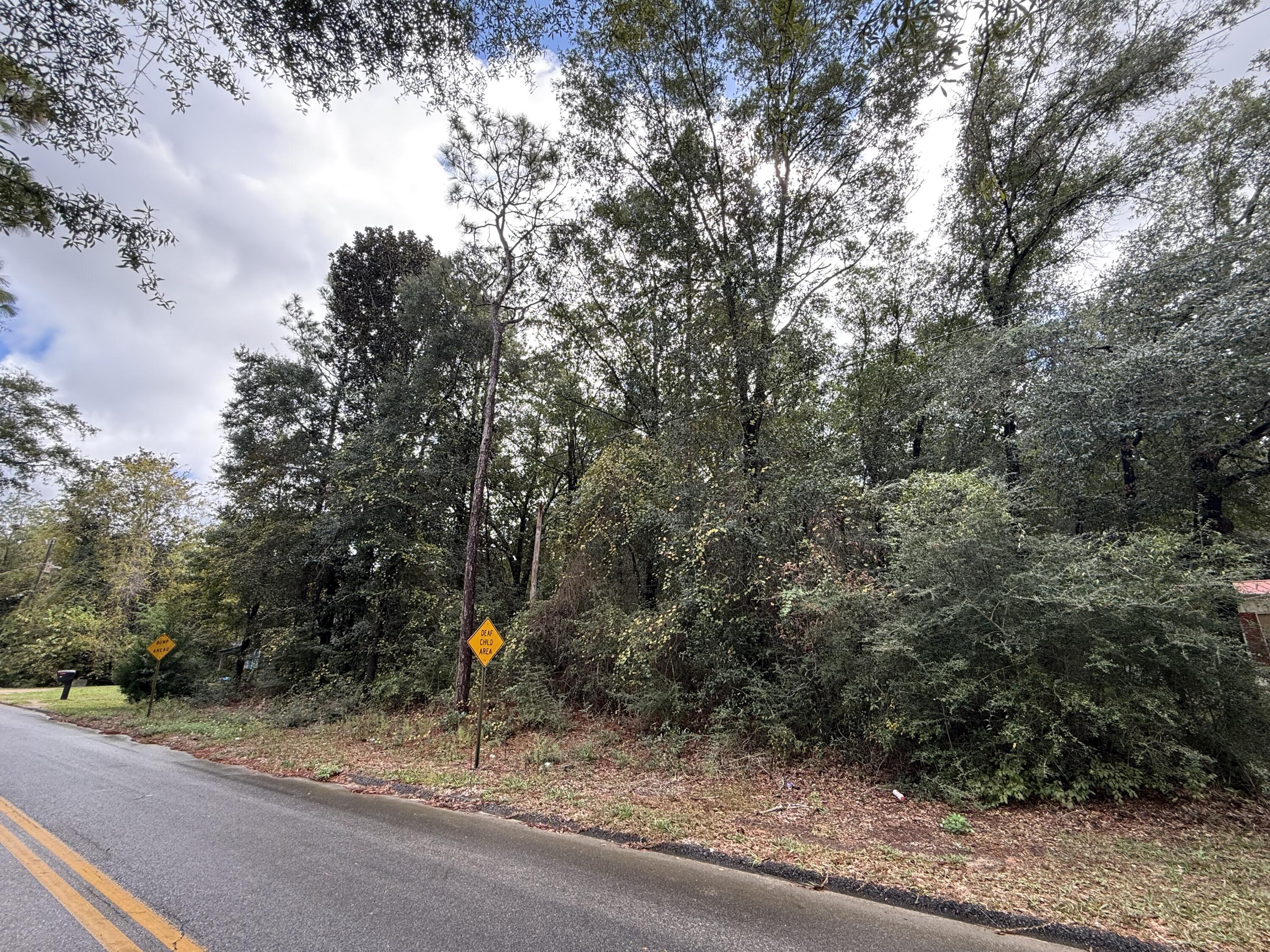 Lot 4 German Club Road DeFuniak Springs, FL 32433 - Photo 10 of 16 IMG_1084