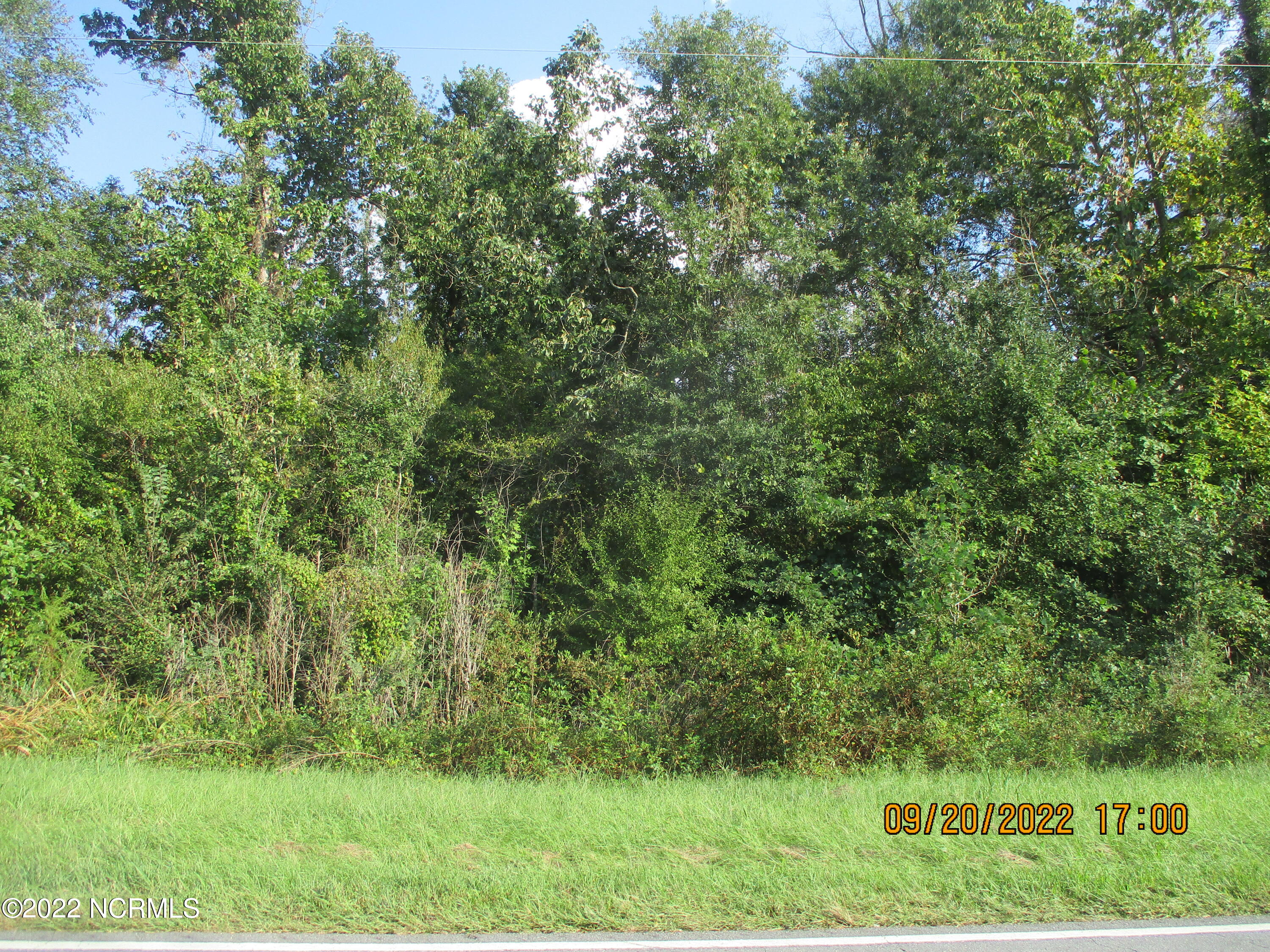 O2 4 Sr 50 Road Faison, NC 28341 - Photo 2 of 2 IMG_2517